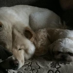 Meet your Posher, Linda